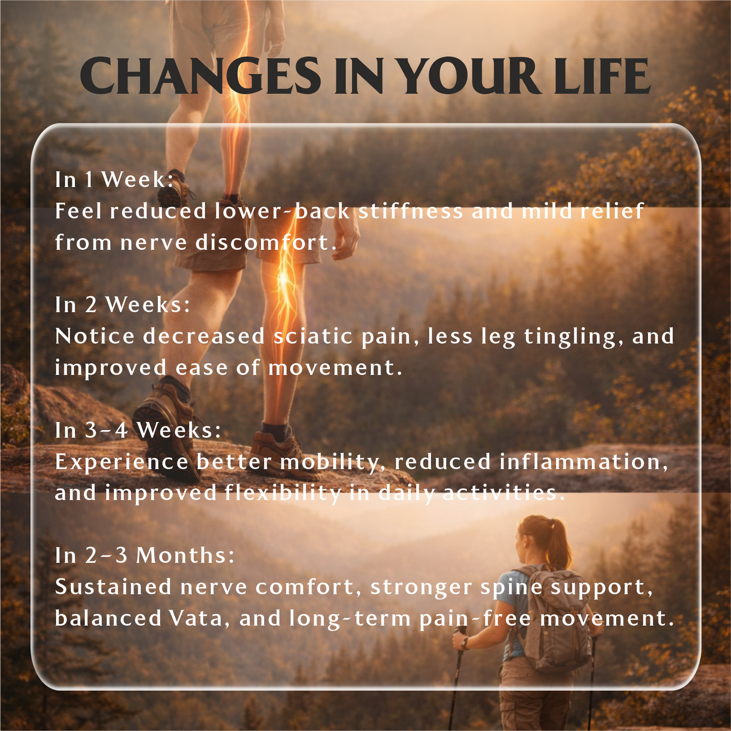 Sciatica Go | Ayurvedic Nerve & Mobility Wellness Support