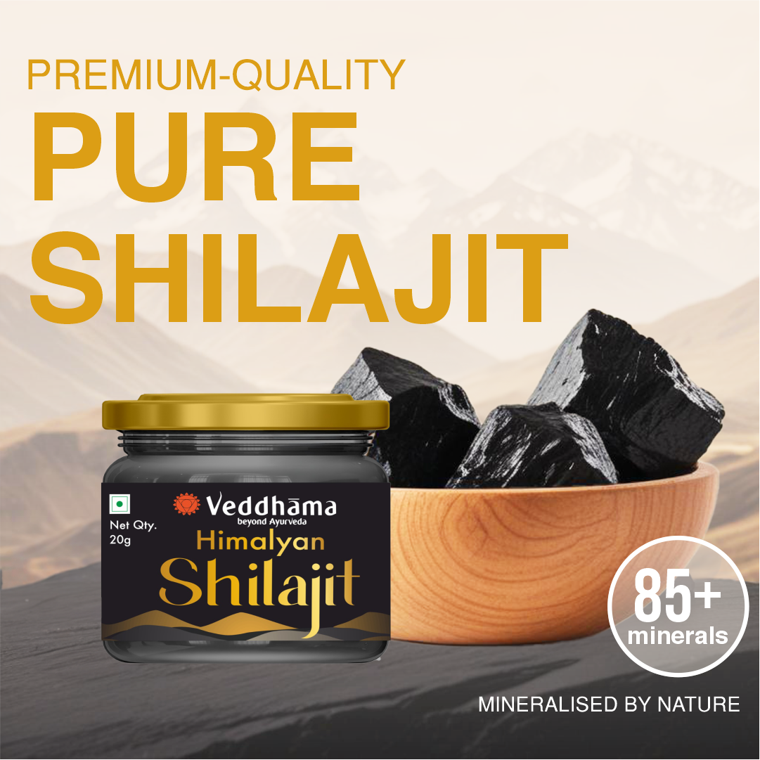 Shilajit | Ayurvedic Support for Energy, Stamina & Vitality