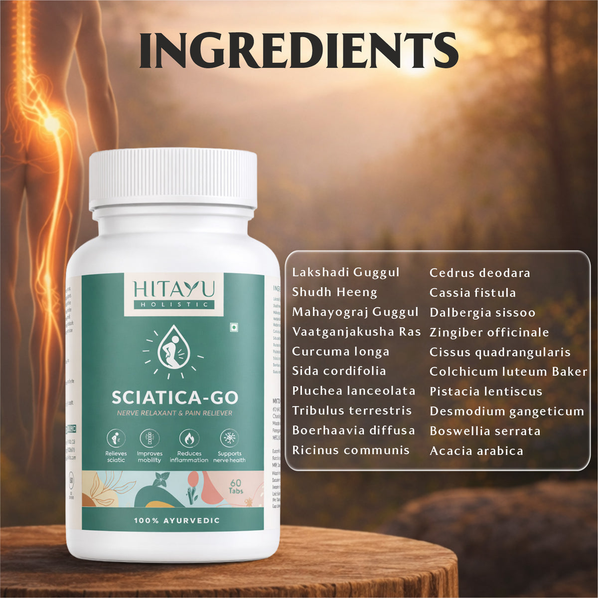 Sciatica Go | Nerve Support | 60 Tablets