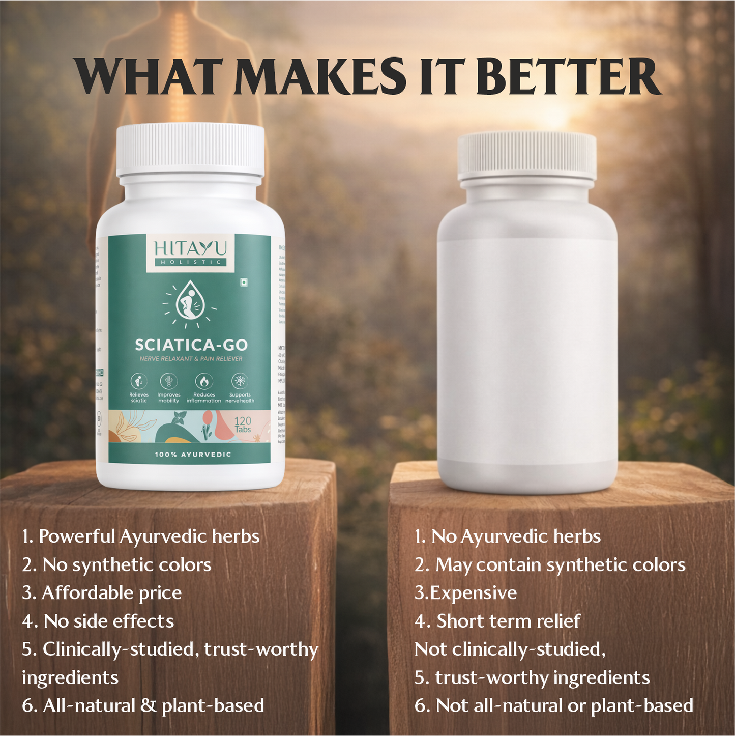 Sciatica Go | Ayurvedic Nerve & Mobility Wellness Support